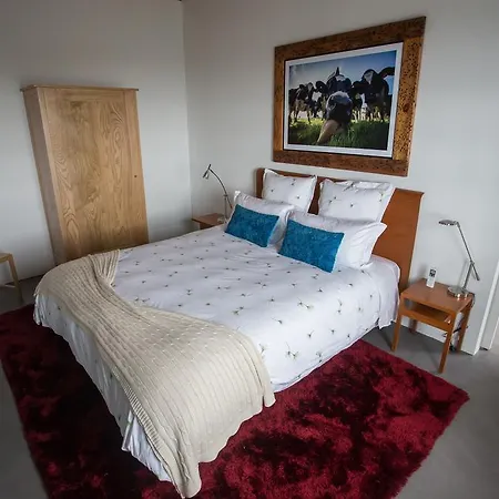 Pico Da Vigia Holiday park