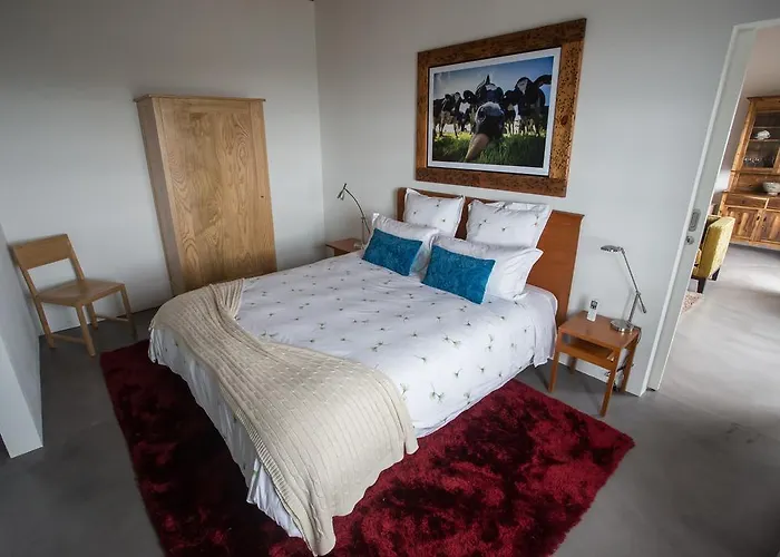 Pico Da Vigia 假日公园